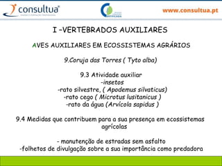 I –VERTEBRADOS AUXILIARES
AVES AUXILIARES EM ECOSSISTEMAS AGRÁRIOS
9.Coruja das Torres ( Tyto alba)
9.3 Atividade auxiliar
-insetos
-rato silvestre, ( Apodemus silvaticus)
-rato cego ( Microtus lusitanicus )
-rato da água (Arvícola sapidus )
9.4 Medidas que contribuem para a sua presença em ecossistemas
agrícolas
- manutenção de estradas sem asfalto
-folhetos de divulgação sobre a sua importância como predadora
 