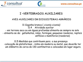 I –VERTEBRADOS AUXILIARES
AVES AUXILIARES EM ECOSSISTEMAS AGRÁRIOS
11 Cegonha branca ( ciconia ciconia)
11.4 Atividade auxiliar
- em terreno seco ou em águas profundas alimenta-se sempre no solo
- alimenta-se de: gafanhotos, ralos, formigas, pequenos roedores, repteis
anfíbios e mamíferos (roedores)
11.5 Medidas que contribuem para a sua presença
-colocação de plataformas - ninho em madeira ou metal, que deverão ter
um diâmetro de cerca de 130 centímetros e colocadas em lugar seguro.
 