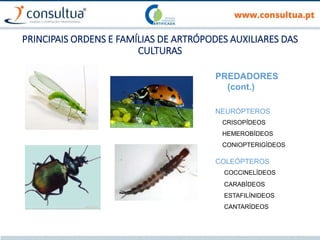 PRINCIPAIS ORDENS E FAMÍLIAS DE ARTRÓPODES AUXILIARES DAS
CULTURAS
PREDADORES
(cont.)
NEURÓPTEROS
CRISOPÍDEOS
HEMEROBÍDEOS
CONIOPTERIGÍDEOS
COLEÓPTEROS
COCCINELÍDEOS
CARABÍDEOS
ESTAFILÍNIDEOS
CANTARÍDEOS
 