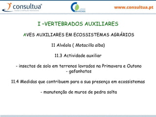 I –VERTEBRADOS AUXILIARES
AVES AUXILIARES EM ECOSSISTEMAS AGRÁRIOS
11 Alvéola ( Motacilla alba)
11.3 Actividade auxiliar
- insectos de solo em terrenos lavrados na Primavera e Outono
- gafanhotos
11.4 Medidas que contribuem para a sua presença em ecossistemas
- manutenção de muros de pedra solta
 