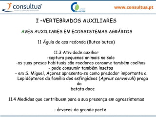 I –VERTEBRADOS AUXILIARES
AVES AUXILIARES EM ECOSSISTEMAS AGRÁRIOS
11 Águia de asa redonda (Buteo buteo)
11.3 Atividade auxiliar
-captura pequenos animais no solo
-as suas presas habituais são roedores consome também coelhos
- pode consumir também insetos
- em S. Miguel, Açores apresenta-se como predador importante a
Lepidópteros da família dos esfingídeos (Agrius convolvuli) praga
da
batata doce
11.4 Medidas que contribuem para a sua presença em agrossistemas
- árvores de grande porte
 