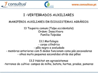 I –VERTEBRADOS AUXILIARES
MAMIFEROS AUXILIARES EM ECOSSISTEMAS AGRÁRIOS
13 Toupeira comum (Talpa occidentalis)
Ordem: Insectívora
Família:Talpidae
13.1 Morfologia
- corpo cilíndrico
- pêlo negro e aveludado
- membros anteriores com 5 dedos funcionam como pás escavadoras
- olhos muito pequenos escondidos atrás dos pêlos
13.2 Habitat em agrossistemas
-terrenos de cultivo: campos de milho, batata, hortas, prados, pomares
 