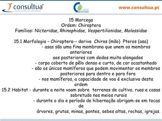 15 Morcego
Ordem: Chiroptera
Famílias: Nicteridae, Rhinophidae, Vespertilionidae, Molossidae
15.1 Morfologia – Chiroptera-- deriva Chiros (mão) Pteros (asa)
- asas são uma fina membrana que unem os membros
anteriores
aos posteriores com dedos muito alongados
- corpo coberto de pêlo denso e curto, de cor acastanhado
- são os únicos mamíferos que podem movimentar os membros
posteriores para dentro e para fora
- nos mamíferos, a capacidade de voo é exclusiva desta
ordem
15.2 Habitat - durante a noite voam sobre terrenos de cultivo, ruas e casas
sobretudo nos meios rurais
- durante o dia e período de hibernação abrigam-se em tocas
de
árvores, grutas, minas, pontes, sebes altas, rochas, igrejas.
 