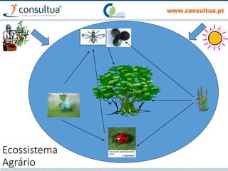 Ecossistema
Agrário
 