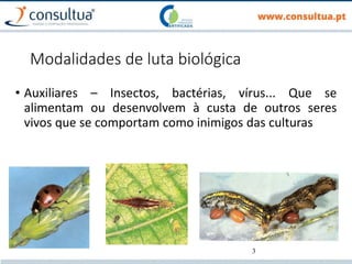 3
Modalidades de luta biológica
• Auxiliares – Insectos, bactérias, vírus... Que se
alimentam ou desenvolvem à custa de outros seres
vivos que se comportam como inimigos das culturas
 