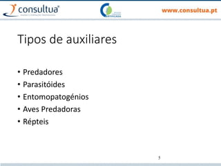 5
Tipos de auxiliares
• Predadores
• Parasitóides
• Entomopatogénios
• Aves Predadoras
• Répteis
 