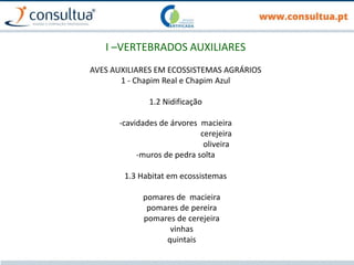 I –VERTEBRADOS AUXILIARES
AVES AUXILIARES EM ECOSSISTEMAS AGRÁRIOS
1 - Chapim Real e Chapim Azul
1.2 Nidificação
-cavidades de árvores macieira
cerejeira
oliveira
-muros de pedra solta
1.3 Habitat em ecossistemas
pomares de macieira
pomares de pereira
pomares de cerejeira
vinhas
quintais
 