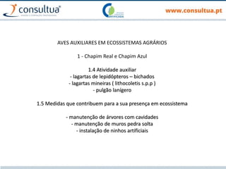 AVES AUXILIARES EM ECOSSISTEMAS AGRÁRIOS
1 - Chapim Real e Chapim Azul
1.4 Atividade auxiliar
- lagartas de lepidópteros – bichados
- lagartas mineiras ( lithocoletis s.p.p )
- pulgão lanígero
1.5 Medidas que contribuem para a sua presença em ecossistema
- manutenção de árvores com cavidades
- manutenção de muros pedra solta
- instalação de ninhos artificiais
 