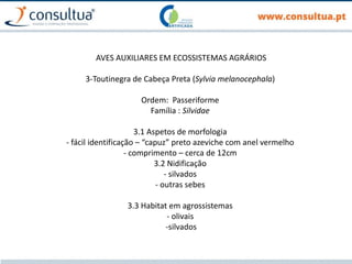 AVES AUXILIARES EM ECOSSISTEMAS AGRÁRIOS
3-Toutinegra de Cabeça Preta (Sylvia melanocephala)
Ordem: Passeriforme
Família : Silvidae
3.1 Aspetos de morfologia
- fácil identificação – “capuz” preto azeviche com anel vermelho
- comprimento – cerca de 12cm
3.2 Nidificação
- silvados
- outras sebes
3.3 Habitat em agrossistemas
- olivais
-silvados
 