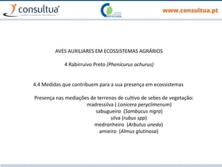 AVES AUXILIARES EM ECOSSISTEMAS AGRÁRIOS
4 Rabirruivo Preto (Phenicurus ochurus)
4.4 Medidas que contribuem para a sua presença em ecossistemas
Presença nas mediações de terrenos de cultivo de sebes de vegetação:
madressilva ( Lonicera peryclimenum)
sabugueiro (Sambucus nigra)
silva (rubus spp)
medronheiro (Arbutus unedo)
amieiro (Almus glutinosa)
 