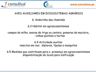 AVES AUXILIARES EM ECOSSISTEMAS AGRÁRIOS
6. Andorinha das chaminés
6.3 Habitat em agroecossistemas
campos de milho, searas de trigo ou centeio, pomares de macieira,
vinhas quintais e hortas
6.4 Actividade auxiliar
insectos em voo: dípteros, típulas e mosquitos
6.5 Medidas que contribuem para a presença em agroecossistemas
disponibilização de locais para nidificação
 