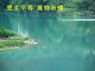 眾生平等 萬物有情 