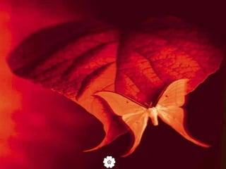 عن أنس بن مالك رضي الله عنه قال: (فرضت على النبي صلى الله عليه وسلم الصلوات ليلة أسري به خمسين, ثم نقصت حتى جعلت خمسا , ثم نودي يا محمد انه لا يبدل القول لدي , وان لك بهذه الخمس خمسين).     هل تعلم أن من تخلى عن فريضة الصلاة فقد كفر وخرج عن ملة الإسلام ؟