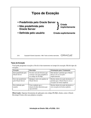 Tipos de Exceção

        • Predefinida pelo Oracle Server
        • Não predefinida pelo
          Oracle Server
                                                                                }        Criada
                                                                                         implicitamente

        • Definida pelo usuário                                            Criada explicitamente




        23-5       Copyright © Oracle Corporation, 1999. Todos os direitos reservados.




Tipos de Exceção
 Você pode programar exceções a fim de evitar transtornos no tempo de execução. Há três tipos de
 exceções.
  Exceção                   Descrição                                Orientações para Tratamento
  Erro predefinido pelo     Um dos cerca de 20 erros que             Não declare e permita que o Oracle
  Oracle Server             ocorrem com mais freqüência              Server crie as exceções
                            no código do PL/SQL                      implicitamente
  Erro não predefinido      Qualquer outro erro padrão do            Declare dentro da seção declarativa e
  pelo Oracle Server        Oracle Server                            permita que o Oracle Server crie as
                                                                     exceções de forma implícita
  Erro definido pelo        Uma condição que o                       Declare dentro da seção declarativa e
  usuário                   desenvolvedor determina que              crie exceções de forma explícita
                            seja anormal.

 Observação: Algumas ferramentas de aplicação com código PL/SQL cliente, como o Oracle
 Developer Forms, têm suas próprias exceções.




                             Introdução ao Oracle: SQL e PL/SQL 23-5
 