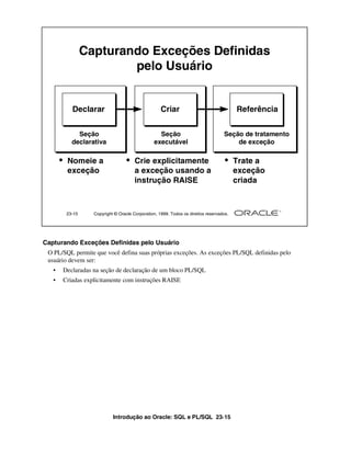 Capturando Exceções Definidas
                        pelo Usuário


          Declarar                                 Criar                                Referência


            Seção                                Seção                            Seção de tratamento
          declarativa                          executável                             de exceção

       • Nomeie a                 • Crie explicitamente                            • Trate a
        exceção                       a exceção usando a                                exceção
                                      instrução RAISE                                   criada



        23-15     Copyright © Oracle Corporation, 1999. Todos os direitos reservados.




Capturando Exceções Definidas pelo Usuário
 O PL/SQL permite que você defina suas próprias exceções. As exceções PL/SQL definidas pelo
 usuário devem ser:
   •   Declaradas na seção de declaração de um bloco PL/SQL
   •   Criadas explicitamente com instruções RAISE




                           Introdução ao Oracle: SQL e PL/SQL 23-15
 