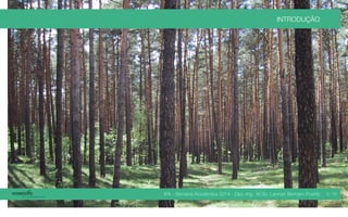 IPA - Semana Acadêmica 2014 - Dipl.-Ing. M.Sc. Lennart Bertram Poehls
INTRODUÇÃO
6 / 45
 