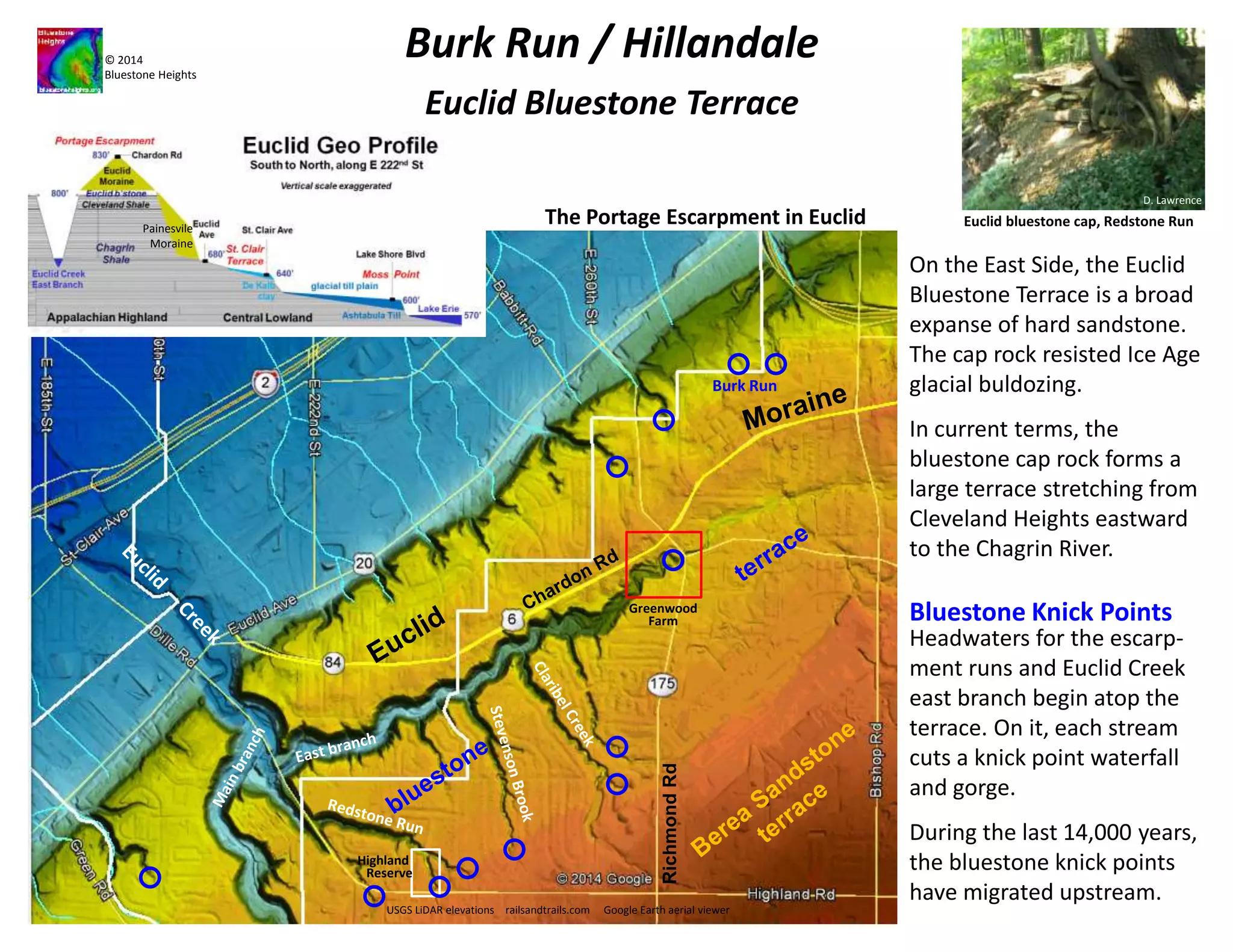 © 2014 
Bluestone Heights 
Burk Run / Hillandale 
Escarpment Ravine Preserves 
D. Lawrence 
Euclid bluestone cap, Redstone Run 
The Portage Escarpment in Euclid 
Burk Run 
Babbitt Run 
Greenwood 
Farm 
USGS LiDAR elevations railsandtrails.com Google Earth aerial viewer 
Green Creek 
Lilly Run 
Below their bluestone knick 
points, the escarpment runs 
cut mostly through soft 
moraine deposits. 
The resulting ravines are 
short but deep and 
voluminious. They have 
special ecologies. 
Four large escarpment 
ravines are available for 
conservation within the City 
of Euclid. 
Highland 
Reserve 
Richmond Rd 
The headwater ravines are 
ripe for conservation. Now is 
time to preserve these 
ecological treasures. 
 