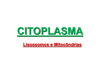 CITOPLASMA
Lisossomos e Mitocôndrias
 