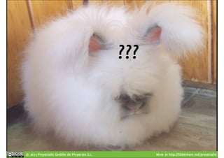 ??? 
© 2013 Proyectalis Gestión de Proyectos S.L. More at http://Slideshare.net/proyectalis 
 