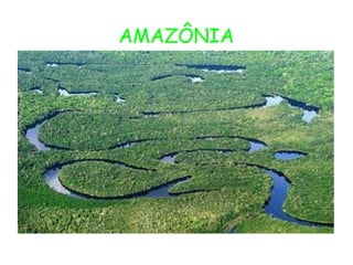 AMAZÔNIA
 