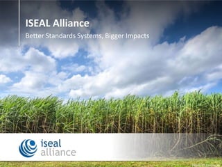 ISEAL Alliance
Better Standards Systems, Bigger Impacts
Photo © Bonsucro
 