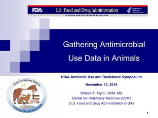Gathering Antimicrobial 
Use Data in Animals 
NIAA Antibiotic Use and Resistance Symposium 
November 13, 2014 
William T. Flynn, DVM, MS 
Center for Veterinary Medicine (CVM) 
U.S. Food and Drug Administration (FDA) 
1 
 