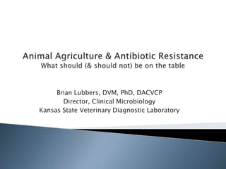 Brian Lubbers, DVM, PhD, DACVCP 
Director, Clinical Microbiology 
Kansas State Veterinary Diagnostic Laboratory 
 