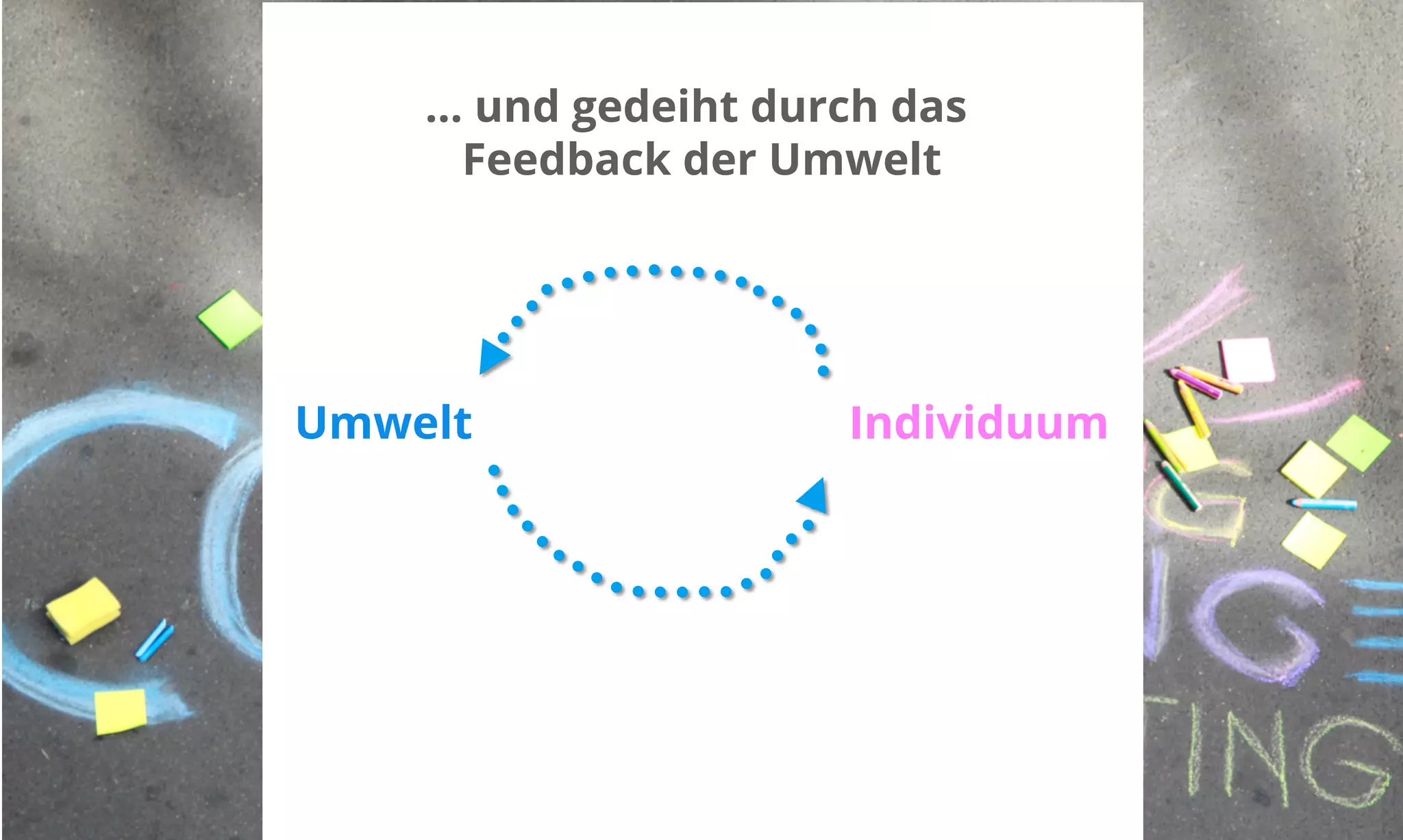 … und gedeiht durch das 
Feedback der Umwelt 
Umwelt Individuum 
 