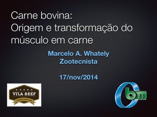 Carne bovina: 
Origem e transformação do 
músculo em carne 
Marcelo A. Whately 
Zootecnista 
17/nov/2014 
 