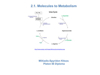 2.1. Molecules to Metabolism
Miltiadis-Spyridon Kitsos
Platon IB Diploma
http://www.edupic.net/Images/Mitosis/prometaphase.png
 