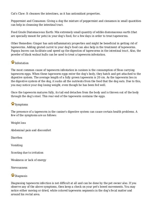 tapeworm treatment home remedy home remedies for tapeworms in dogs tapeworm treatment home remedy home remedies for tapeworms in dogs