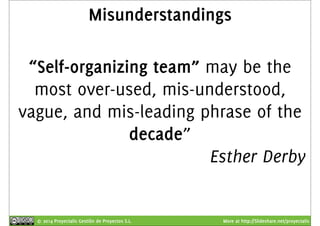 Misunderstandings 
“Self-organizing team” may be the 
most over-used, mis-understood, 
vague, and mis-leading phrase of the 
decade” 
Esther Derby 
© 2014 Proyectalis Gestión de Proyectos S.L. More at http://Slideshare.net/proyectalis 
 