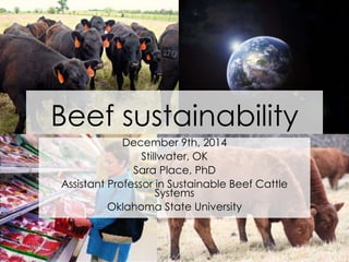 Beef sustainability
December 9th, 2014
Stillwater, OK
Sara Place, PhD
Assistant Professor in Sustainable Beef Cattle
Systems
Oklahoma State University
 