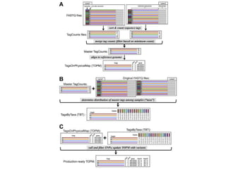 GBS: Genotyping by sequencing | PPTX
