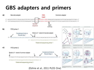 GBS: Genotyping by sequencing | PPTX