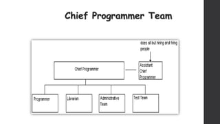 Chief Programmer Team
 