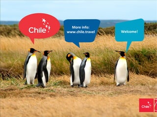 Chile Travel and Tourism Presentation