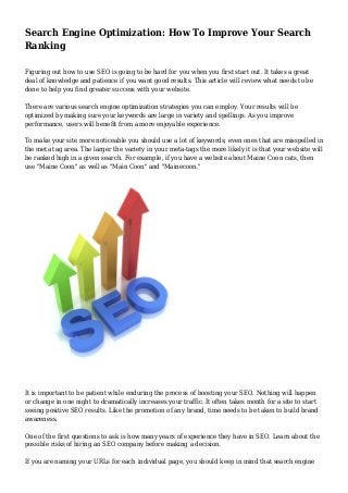 Search Engine Optimization: How To Improve Your Search Ranking