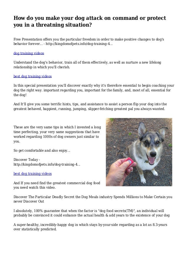 How do you make your dog attack on command or protect you in a