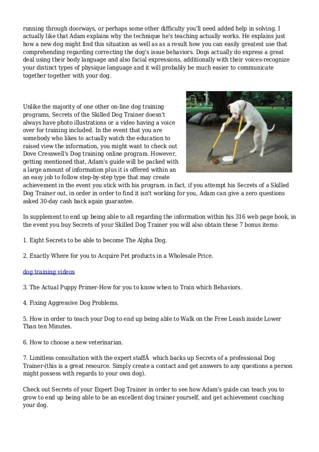 Secrets of a Professional Dog Trainer Review