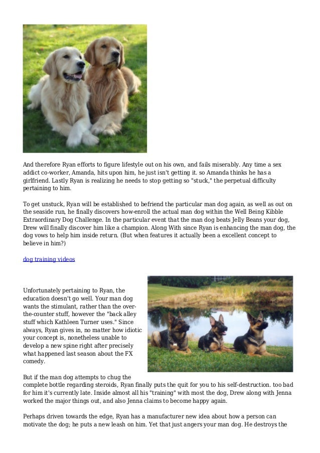 'Wilfred' Recap Ryan and Jenna on 'Letting Go'