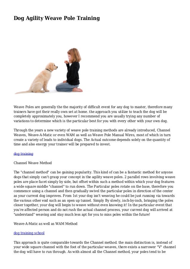 agility weave pole training