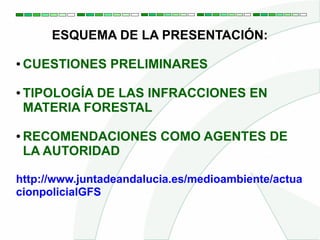 Tipologia de infracciones en materia forestal | PPT