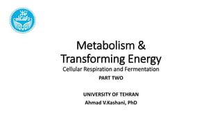 Metabolism &
Transforming Energy
Cellular Respiration and Fermentation
PART TWO
UNIVERSITY OF TEHRAN
Ahmad V.Kashani, PhD
 