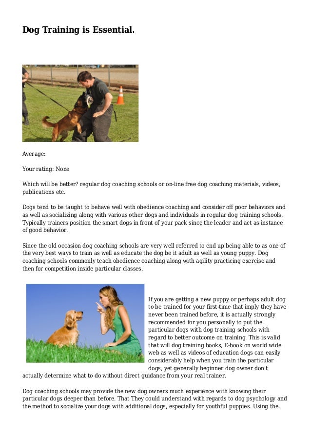 Dog Training is Essential.