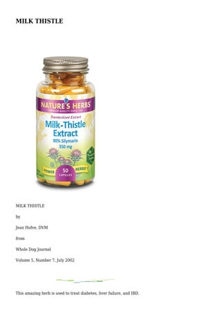 MILK THISTLE
MILK THISTLE
by
Jean Hofve, DVM
from
Whole Dog Journal
Volume 5, Number 7, July 2002
This amazing herb is used to treat diabetes, liver failure, and IBD.
 