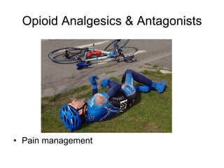 Opioid Analgesics & Antagonists ,[object Object]