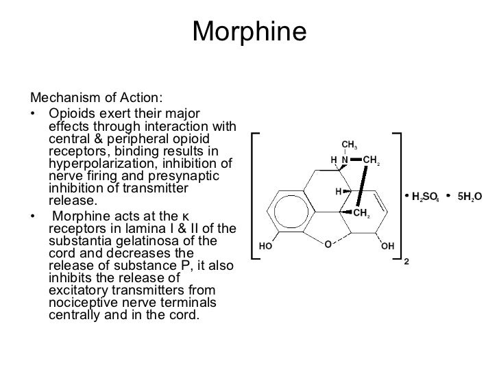 morphine mechanism of action