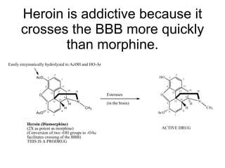 Heroin is addictive because it crosses the BBB more quickly than morphine. 