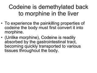 Codeine is demethylated back to morphine in the liver To experience the painkilling properties of codeine the body must first convert it into morphine.  (Unlike morphine), Codeine is readily absorbed by the gastrointestinal tract, becoming quickly transported to various tissues throughout the body.  